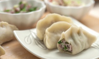 驴肉和什么菜包饺子好吃(驴肉和啥菜包饺子好吃)