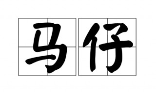 马仔是什么意思(马仔是哪里的方言)