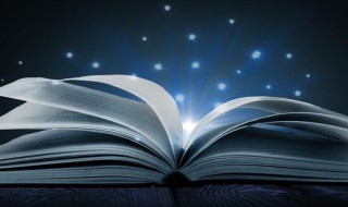 妻子是什么意思(妻子解释)