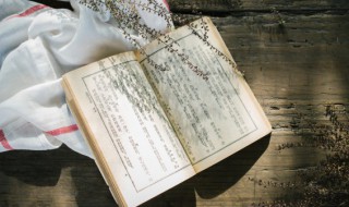 汉蒋琬为大司马翻译(汉蒋琬为大司马翻译及原文是什么)