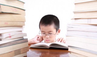 就地正法是什么意思(词语就地正法什么意思)