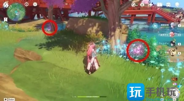 原神绯樱绣球怎么得到(绯樱绣球分布图)