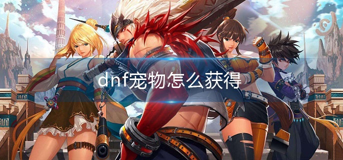 dnf宠物怎么获得(宠物获取攻略)