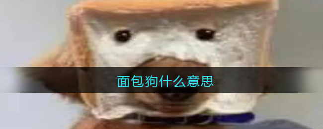 面包狗什么意思