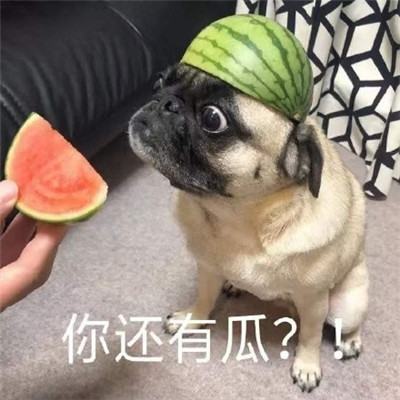 抖音超火吃瓜专用表情包分享