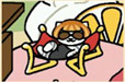 《猫咪后院》特殊猫大全