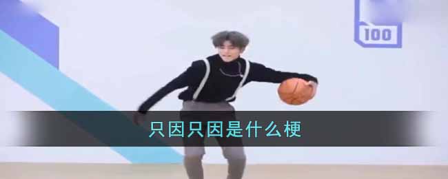 只因只因是什么梗(只因只因梗出处介绍)