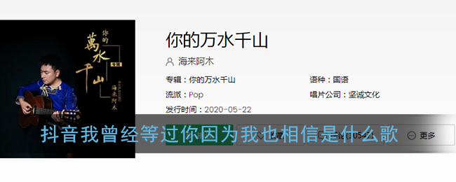 抖音我曾经等过你因为我也相信是什么歌