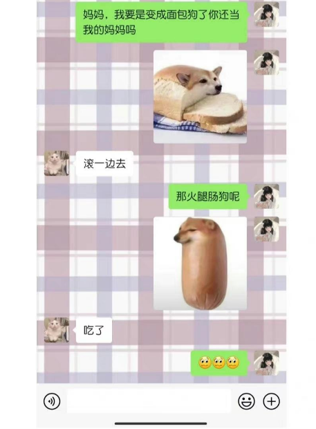 面包狗什么意思