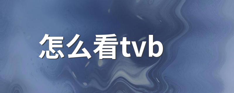 看tvb的步骤有哪些_怎么看tvb