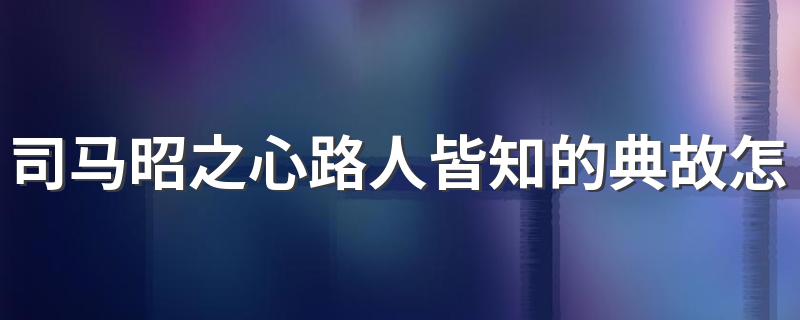司马昭之心路人皆知的典故由来_司马昭之心路人皆知的典故怎么来的