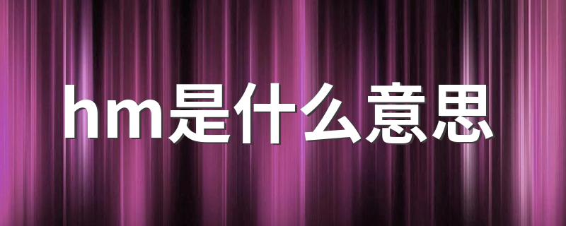 hm什么意思呢_hm是什么意思
