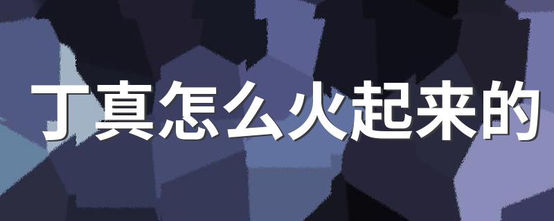 丁真火起来的原因_丁真怎么火起来的