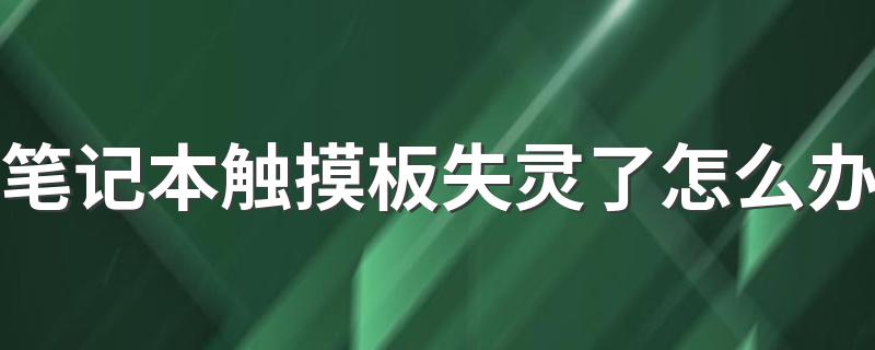 笔记本触摸板没反应_笔记本触摸板失灵了怎么办
