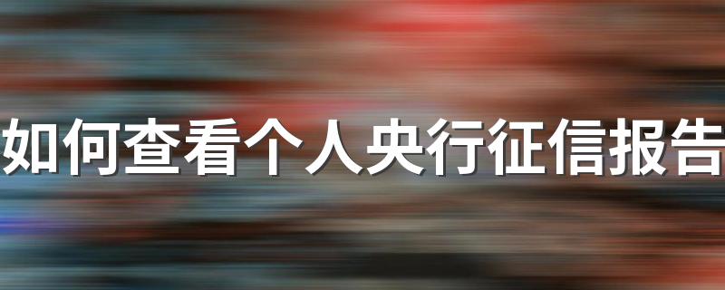 查看个人央行征信报告方法介绍_如何查看个人央行征信报告