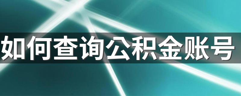 查询公积金账号方法介绍_如何查询公积金账号