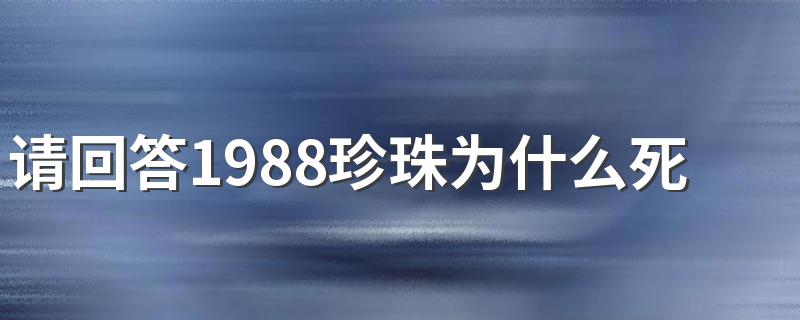请回答1988讲了什么_请回答1988珍珠为什么死了