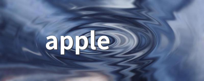 store注册步骤_注册苹果ID_apple