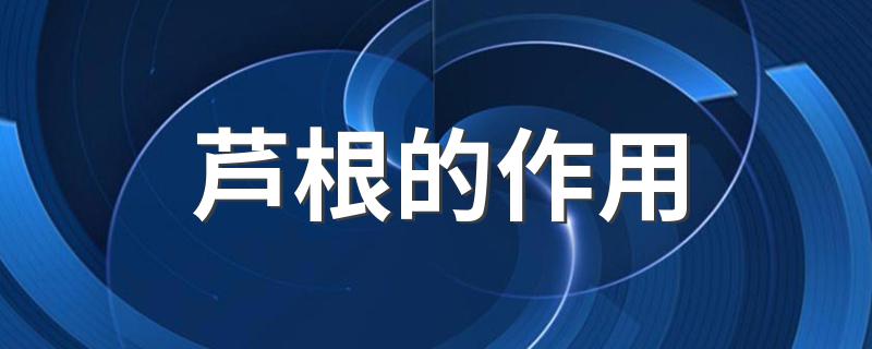 什么是芦根_芦根的作用