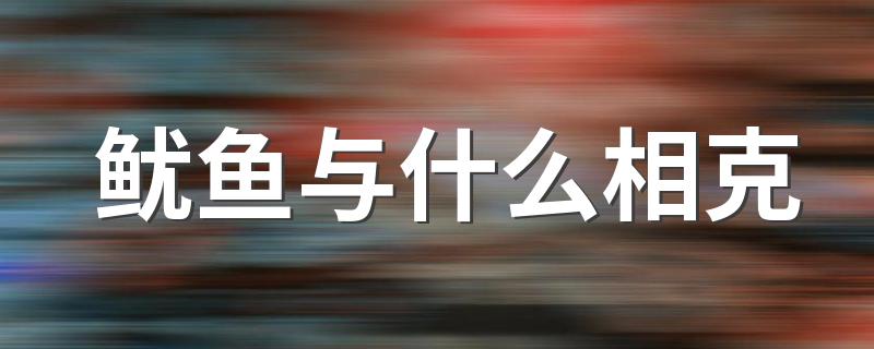 什么食物不能和鱿鱼一起吃_鱿鱼与什么相克