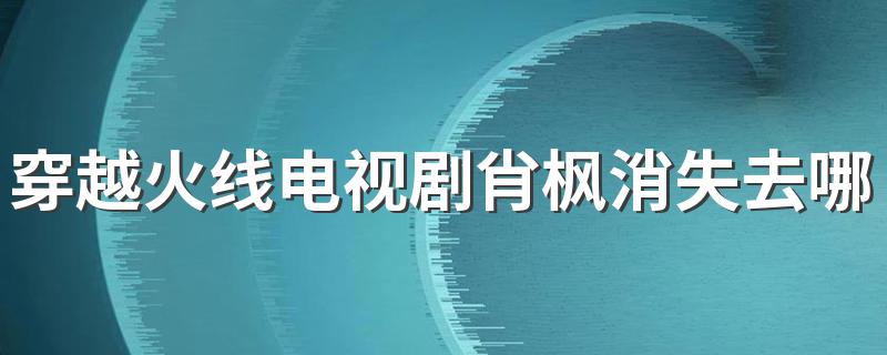 结果很让人不知所措_穿越火线电视剧肖枫消失去哪了