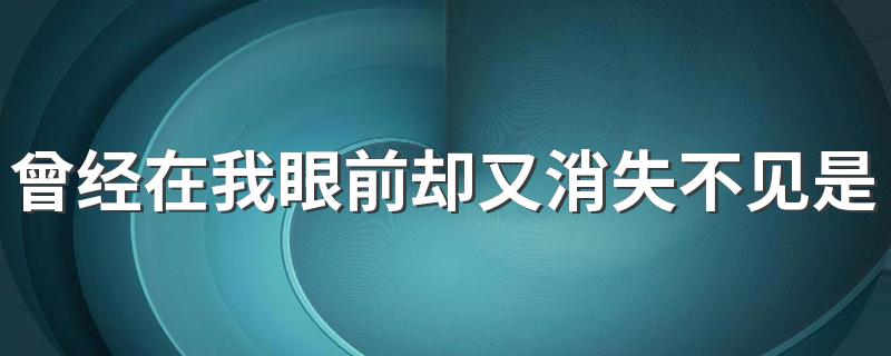 我爱你歌词_曾经在我眼前却又消失不见是什么歌