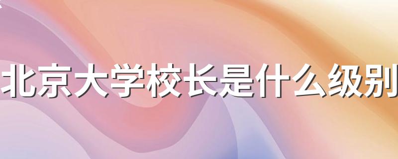 下面为大家解答_北京大学校长是什么级别