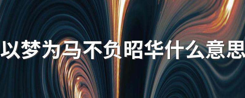 以梦为马不负昭华的含义_以梦为马不负昭华什么意思