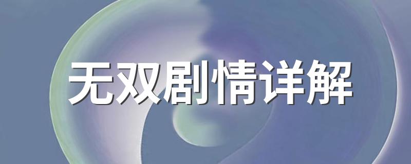 无双剧情解析_无双剧情详解