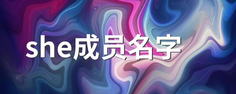 she简介_she成员名字