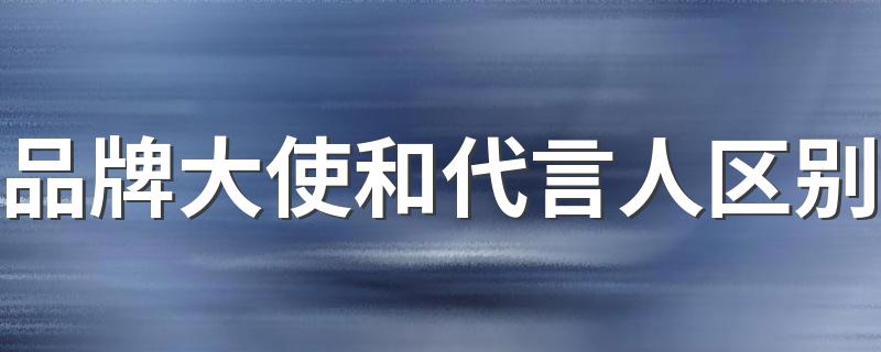 品牌大使和代言人有什么不一样_品牌大使和代言人区别