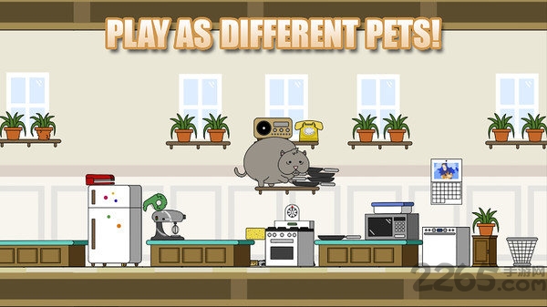 小笨猫手机版 v1.4.4 安卓版 0