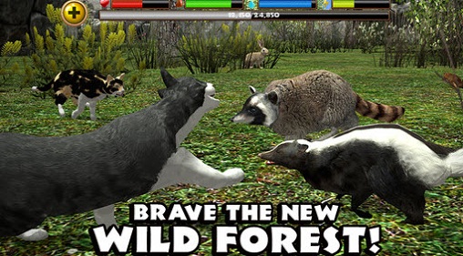 流浪猫模拟器中文版 v1.3 安卓版 1
