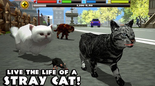 流浪猫模拟器中文版 v1.3 安卓版 2