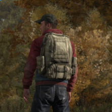 dayz手机中文版下载(dayz手机汉化版下载)