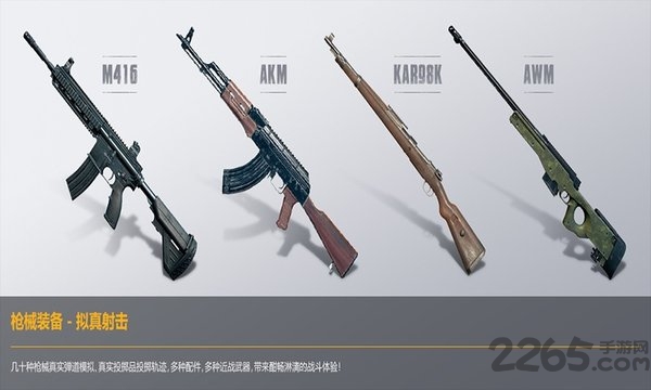 和平精英夏日版 v1.2.9 安卓 4
