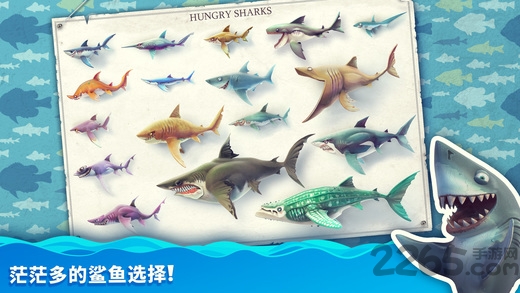 饥饿鲨世界4.8.0破解版 v4.8.0 安卓版 3