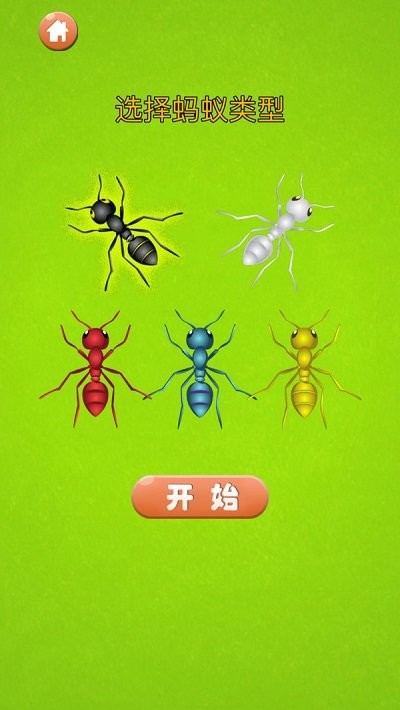蚂蚁大战游戏下载
