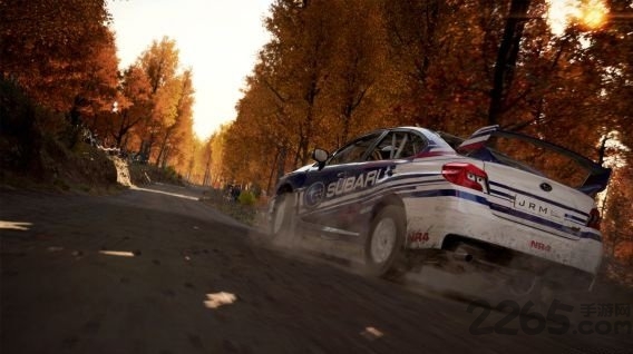 尘埃4中文版 v1.2.1 安卓汉化版 1