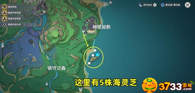 原神海灵芝采集点路线一览