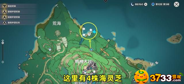 原神海灵芝采集点路线一览