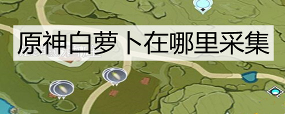 原神白萝卜在哪里采集