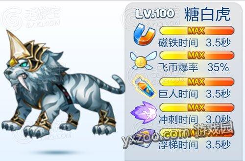 天天酷跑(糖伯虎搭配攻略)