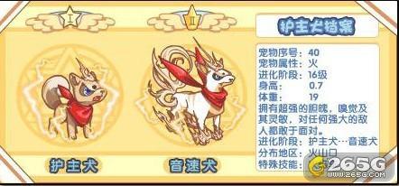 洛克王国(_洛克王国音速犬自杀式带练攻略（适合所有宠物）)