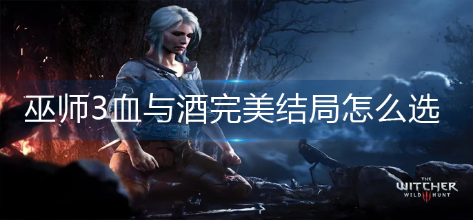 巫师3血与酒完美结局怎么选(完美结局选择攻略)