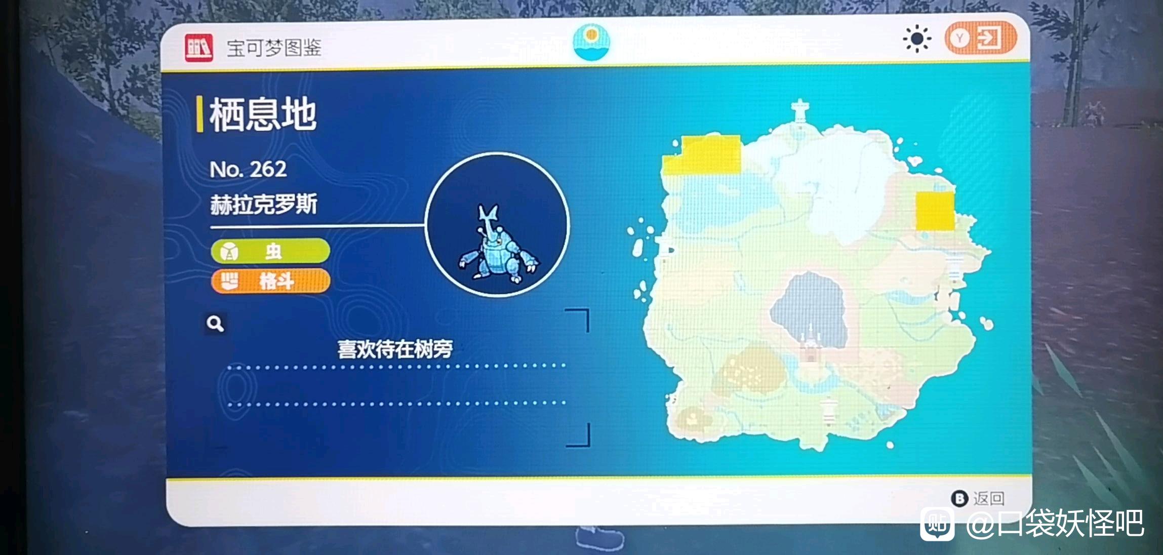 宝可梦朱紫赫拉克罗斯在哪(赫拉克罗斯捕捉位置)