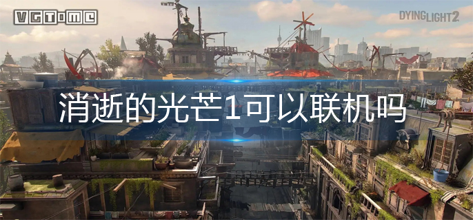 消逝的光芒1可以联机吗(联机方法介绍)