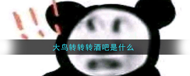 大鸟转转转酒吧是什么(大鸟转转转酒吧在哪)