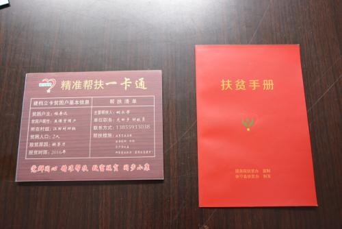 《建档立卡》贫困户详细介绍