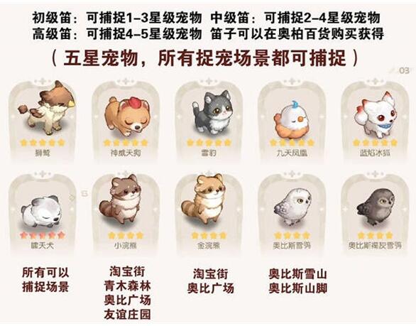 《奥比岛手游》宠物分布位置大全